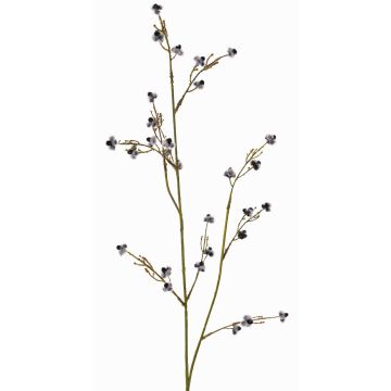 Ramo decorativo Stirlingia latifolia COLLAN, nero-bianco, 75cm, Ø1cm