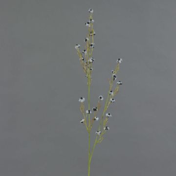Ramo decorativo Stirlingia latifolia COLLAN, bianco e nero, 75 cm, Ø 1 cm Ramo decorativo Stirlingia latifolia COLLAN, bianco e nero, 75 cm, Ø 1 cm