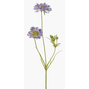 Scabiosa artificiale ANDIA, blu-lilla, 80 cm, Ø 8-10 cm Scabiosa artificiale ANDIA, blu-lilla, 80 cm, Ø 8-10 cm
