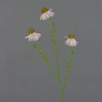 Ramo di echinacea artificiale CELIO, rosa, 70cm, Ø6-7cm Ramo di echinacea artificiale CELIO, rosa, 70cm, Ø6-7cm