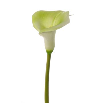 Fiore artificiale di calla MIRAC, verde-bianco, 75cm, 12x15cm