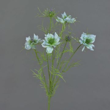 Cumino nero artificiale SEVIN, azzurro-verde, 65 cm, Ø 6-7 cm Cumino nero artificiale SEVIN, azzurro-verde, 65 cm, Ø 6-7 cm