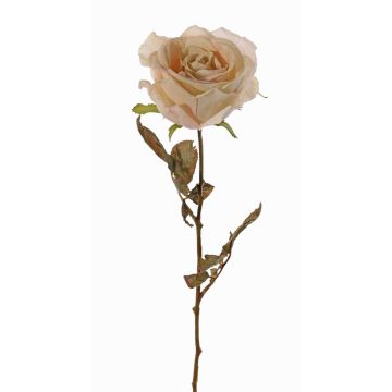 Rosa artificiale NAJMA, effetto secco, crema-rosa, 65cm, Ø10cm