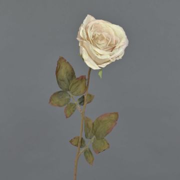 Rosa artificiale NAJMA, effetto secco, rosa crema, 65 cm, Ø 10 cm