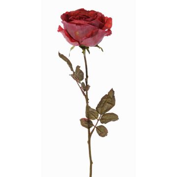 Rosa artificiale NAJMA, effetto secco, rosso antico-viola, 65cm, Ø10cm