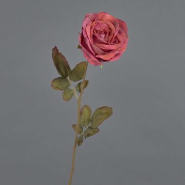 Rosa artificiale NAJMA, effetto secco, rosso antico-viola, 65 cm, Ø 10 cm Rosa artificiale NAJMA, effetto secco, rosso antico-viola, 65 cm, Ø 10 cm