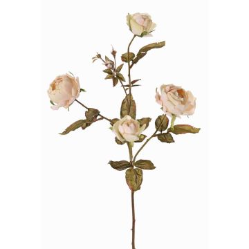Ramo di rosa artificiale SITARA, effetto secco, crema-rosa, 75cm, Ø5-8cm