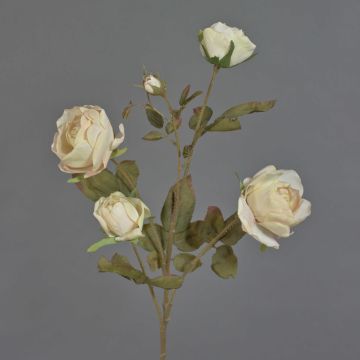 Ramo di rosa artificiale SITARA, effetto secco, rosa crema, 75 cm, Ø 5-8 cm Ramo di rosa artificiale SITARA, effetto secco, rosa crema, 75 cm, Ø 5-8 cm