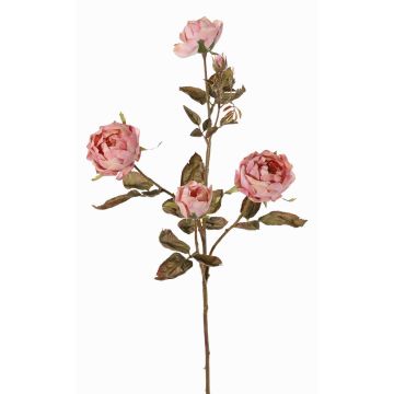 Ramo di rose artificiali SITARA, effetto secco, rosa antico, 75cm, Ø5-8cm Ramo di rose artificiali SITARA, effetto secco, rosa antico, 75cm, Ø5-8cm