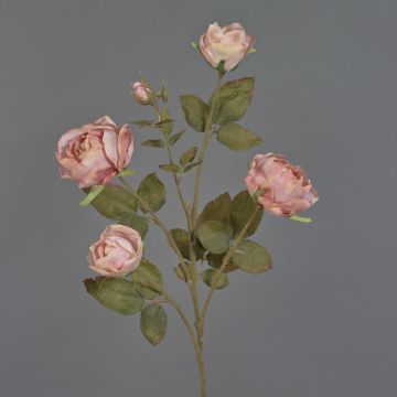 Ramo di rose artificiali SITARA, effetto secco, rosa antico, 75 cm, Ø 5-8 cm Ramo di rose artificiali SITARA, effetto secco, rosa antico, 75 cm, Ø 5-8 cm