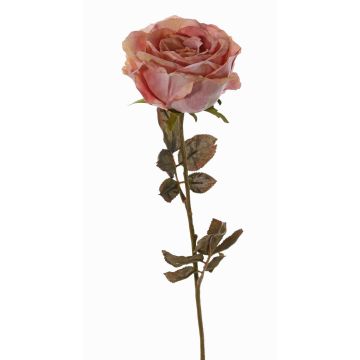 Rosa artificiale NAJMA, effetto secco, rosa antico, 65cm, Ø10cm