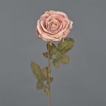 Rosa artificiale NAJMA, effetto secco, rosa antico, 65 cm, Ø 10 cm Rosa artificiale NAJMA, effetto secco, rosa antico, 65 cm, Ø 10 cm
