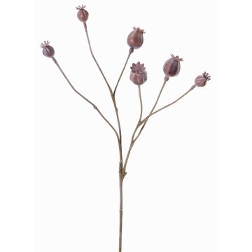 Capsule di papavero decorative ASUMAN, marroni, 70cm, Ø2-3cm Capsule di papavero decorative ASUMAN, marroni, 70cm, Ø2-3cm