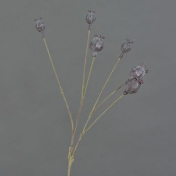 Capsule decorative di papavero ASUMAN, marrone scuro, 70 cm, Ø 2-3 cm Capsule decorative di papavero ASUMAN, marrone scuro, 70 cm, Ø 2-3 cm