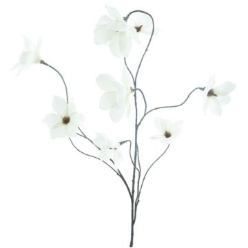 Ramo decorativo di magnolia MAZANA, color crema, 125 cm