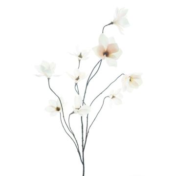 Ramo decorativo di magnolia MAZANA, bianco-rosa, 125 cm