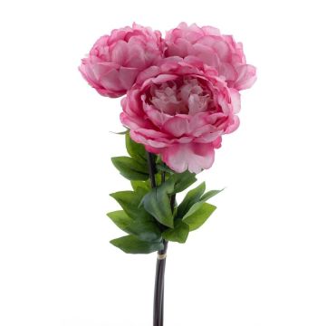 Fiori in tessuto, mazzo di peonie DUDIL, rosa-fucsia, 50 cm Fiori in tessuto, mazzo di peonie DUDIL, rosa-fucsia, 50 cm