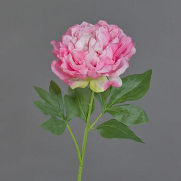 Fiore artificiale peonia CORDOBA, rosa, 60 cm, Ø 16 cm Fiore artificiale peonia CORDOBA, rosa, 60 cm, Ø 16 cm