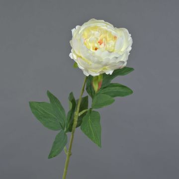 Peonia artificiale TALFY, color crema, 65 cm, Ø 10 cm Peonia artificiale TALFY, color crema, 65 cm, Ø 10 cm