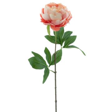 Peonia artificiale TALFY, rosa-pesca, 65 cm, Ø 10 cm Peonia artificiale TALFY, rosa-pesca, 65 cm, Ø 10 cm