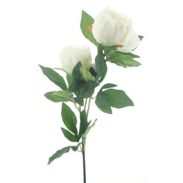 Ramo di peonia artificiale THEMIA, color crema, 65 cm