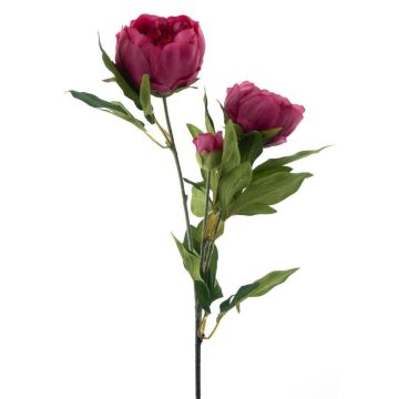 Ramo di peonia artificiale THEMIA, viola scuro, 65 cm Ramo di peonia artificiale THEMIA, viola scuro, 65 cm