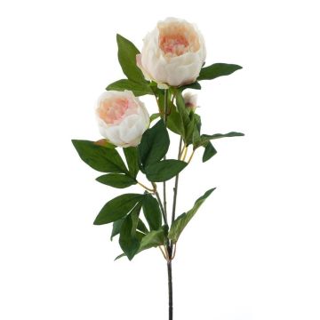 Ramo di peonia artificiale THEMIA, crema-rosa, 65cm