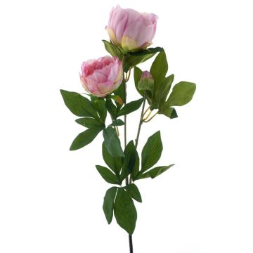 Ramo di peonia artificiale THEMIA, rosa, 65 cm Ramo di peonia artificiale THEMIA, rosa, 65 cm