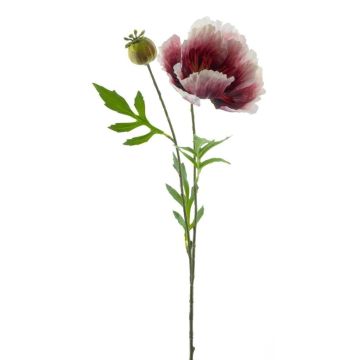 Fiore di papavero artificiale EDESSA, fucsia-bianco, 80cm, Ø11cm Fiore di papavero artificiale EDESSA, fucsia-bianco, 80cm, Ø11cm