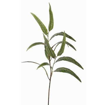 Ramo di eucalipto sintetico SEMA, verde, 70cm