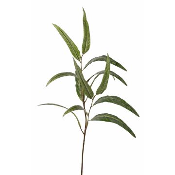 Ramo di eucalipto artificiale SEMA, verde, 70 cm Ramo di eucalipto artificiale SEMA, verde, 70 cm