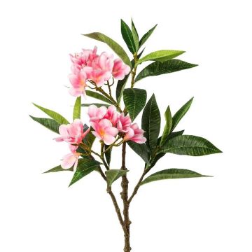Ramo artificiale di frangipani DRIFEN, rosa, 110 cm Ramo artificiale di frangipani DRIFEN, rosa, 110 cm