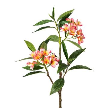 Ramo artificiale di frangipani DRIFEN, giallo-rosa, 110 cm Ramo artificiale di frangipani DRIFEN, giallo-rosa, 110 cm