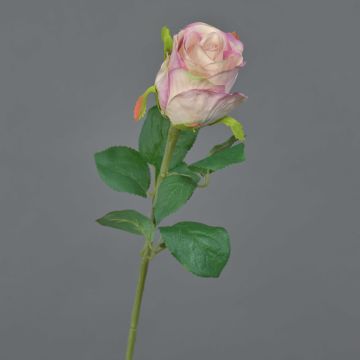 Fiore decorativo rosa KLONI, rosa-crema, 50 cm, Ø 5,5 cm Fiore decorativo rosa KLONI, rosa-crema, 50 cm, Ø 5,5 cm