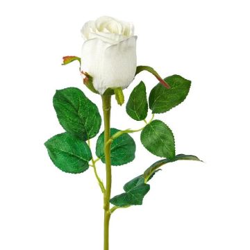 Fiore decorativo rosa KLONI, bianco, 50 cm, Ø 5,5 cm Fiore decorativo rosa KLONI, bianco, 50 cm, Ø 5,5 cm