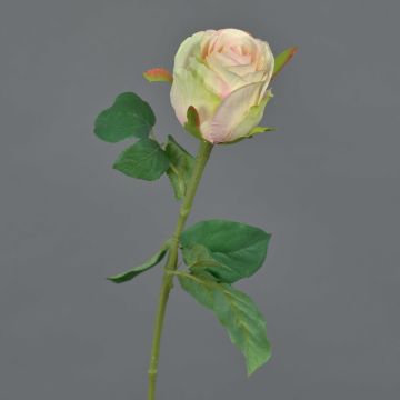 Fiore decorativo rosa KLONI, verde-color pesca-rosa, 50cm, Ø5,5cm Fiore decorativo rosa KLONI, verde-color pesca-rosa, 50cm, Ø5,5cm