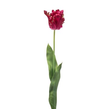 Tulipano a becco di pappagallo artificiale LUNIA, rosa, 70 cm Tulipano a becco di pappagallo artificiale LUNIA, rosa, 70 cm