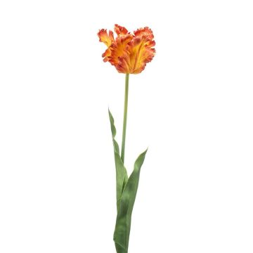 Tulipano a becco di pappagallo artificiale LUNIA, arancione-giallo, 70cm Tulipano a becco di pappagallo artificiale LUNIA, arancione-giallo, 70cm