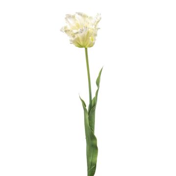 Tulipano a becco di pappagallo artificiale LUNIA, bianco-verde, 70 cm Tulipano a becco di pappagallo artificiale LUNIA, bianco-verde, 70 cm