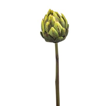 Verdura decorativa carciofo ARIGATO, verde, 60cm