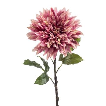 Fiore artificiale dalia JESKA, rosa antico, 65 cm Fiore artificiale dalia JESKA, rosa antico, 65 cm
