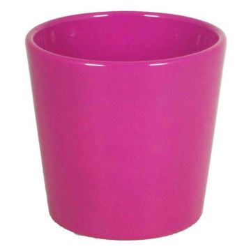 Vaso per orchidee BANEH, ceramica, fucsia, 12,5cm, Ø13,5cm