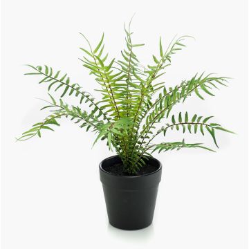 Pianta artificiale felce a coste CASCOT, verde, 20 cm
