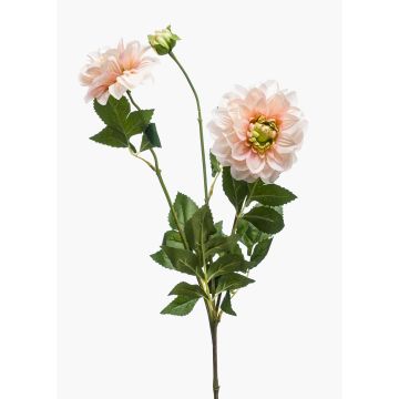 Fiore artificiale Dalia NAXOS con fiori, rosa-verde, 70 cm, Ø 10-11 cm Fiore artificiale Dalia NAXOS con fiori, rosa-verde, 70 cm, Ø 10-11 cm