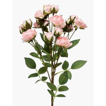 Ramo di rosa artificiale TOSSA, rosa-crema, 60 cm, Ø 1-4 cm Ramo di rosa artificiale TOSSA, rosa-crema, 60 cm, Ø 1-4 cm