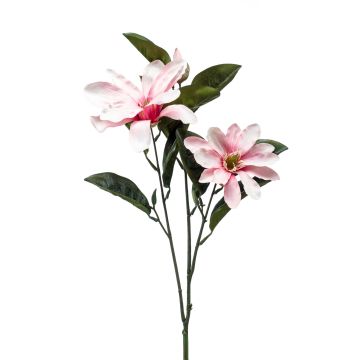Fiore decorativo Magnolia BEGUR, rosa, 80 cm Fiore decorativo Magnolia BEGUR, rosa, 80 cm