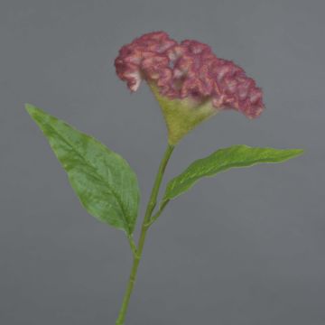 Fiore artificiale a cresta di gallo ANUBIS, rosa shocking, 60 cm, Ø 14 cm Fiore artificiale a cresta di gallo ANUBIS, rosa shocking, 60 cm, Ø 14 cm