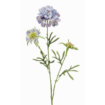 Fiore artificiale Scabiosa MONTIE, viola-blu, 75 cm, Ø 7-10 cm Fiore artificiale Scabiosa MONTIE, viola-blu, 75 cm, Ø 7-10 cm