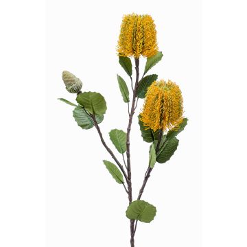 Fiore artificiale Banksia robur CONAKIR, giallo, 70 cm Fiore artificiale Banksia robur CONAKIR, giallo, 70 cm