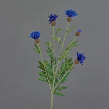 Fiore artificiale decorativo fiordaliso ORTIGO, blu, 60 cm, Ø 2-6 cm Fiore artificiale decorativo fiordaliso ORTIGO, blu, 60 cm, Ø 2-6 cm
